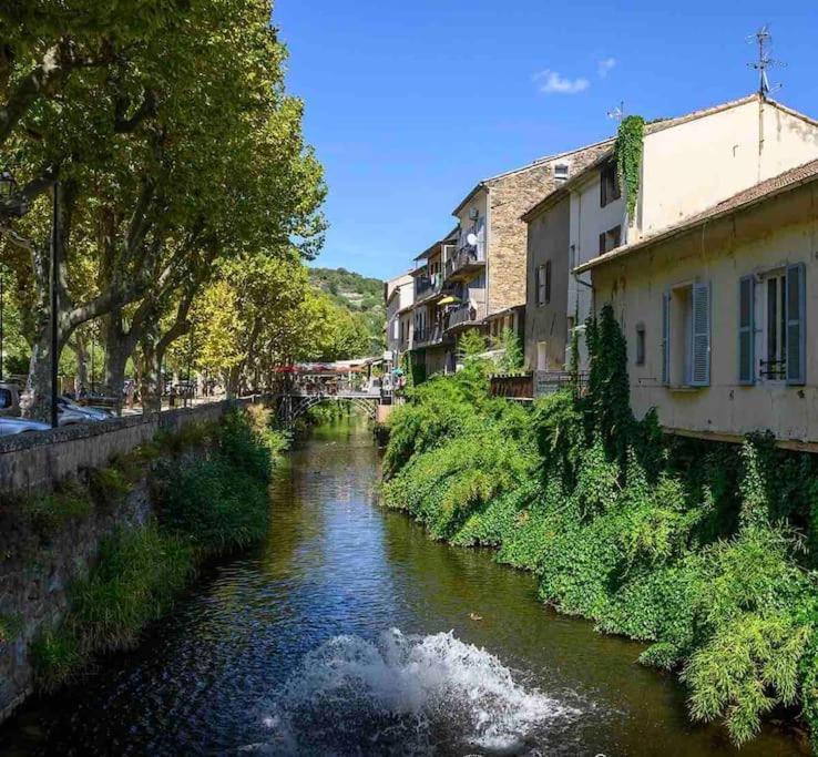 Le Pearl Appartement De Charme En Bord Riviere Collobrières Eksteriør bilde